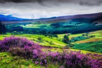 374 - THUNDER SHOWER ON NIRE VALLEY - DOYLE DICK - ireland <div